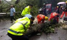 垫江警方在暴雨中的暖心之举 只为少些“肠梗阻”