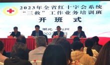 2023年湖北省红十字会系统“三救”工作业务培训班在荆州举办