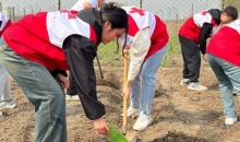 春播啦！天津北辰区好榜样红十字雷锋蔬菜基地正式启动