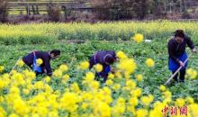 山村教师坚守大山22年 贫困侗寨飞出30多个大学生