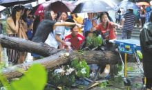 成都狂风暴雨树倒砸中路人 女学生赤脚抬树救人